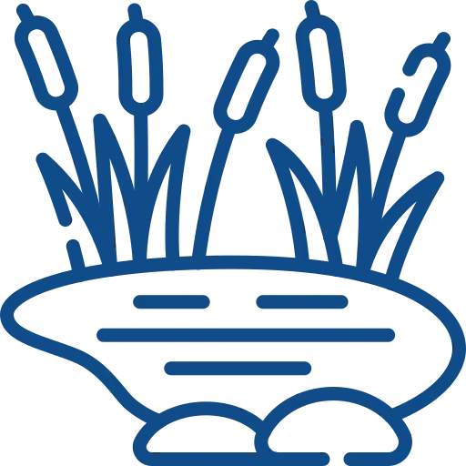 repartición de herencia en ecuador